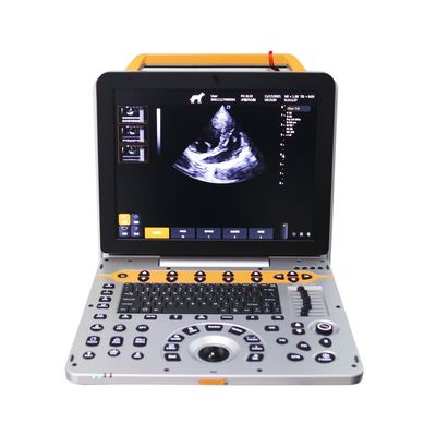 15 pouces P60V Portable Vétérinaire couleur système d'échographie Doppler pour les cliniques de petits animaux