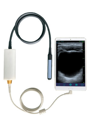 acheter Scanner à ultrasons vétérinaire portatif avec sonde rectale linéaire pour la reproduction bovine et équine online manufacture