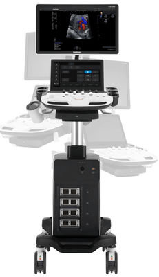 acheter élite de Sonoscape Echo Machine P11 du chariot 5D avec 4 connecteurs de transducteur online manufacture