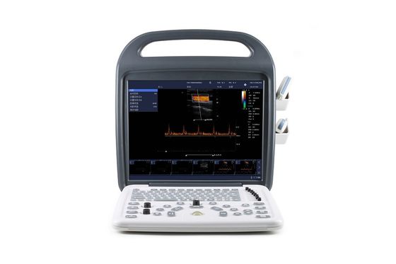 acheter Système d'échographie Doppler couleur portable DCU10 avec écran HD de 15 pouces pour l'imagerie obstétricale/gynécologique, abdominale et cardiaque online manufacture