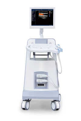 acheter Instrument diagnostique ultrasonique 500GB d'ultrason de Doppler de couleur de chariot à niveau d'entrée online manufacture