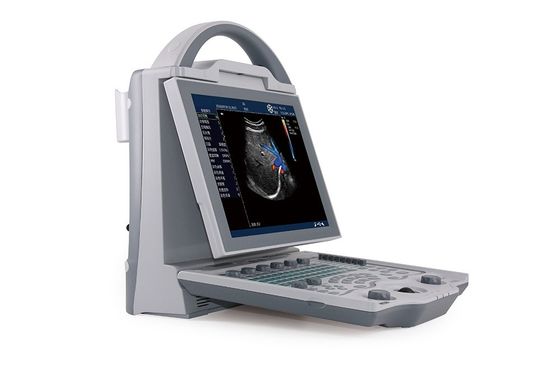 acheter Appareil à ultrasons Doppler couleur portable pour la grossesse | Système d'échographie pour ordinateur portable d'entrée de gamme DCU12 online manufacture