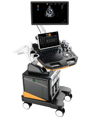 acheter Machine à ultrasons vétérinaire Doppler couleur 3D/4D, système d'imagerie professionnel pour petits animaux avec écran LCD 21.5 pouces online manufacture
