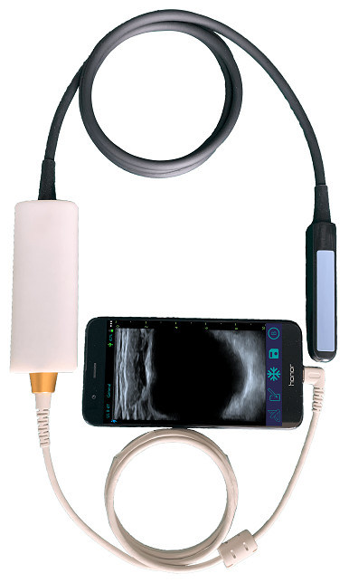 Scanner à ultrasons vétérinaire portatif avec sonde rectale linéaire pour la reproduction bovine et équine