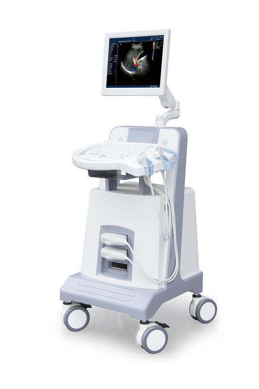 Instrument diagnostique ultrasonique 500GB d'ultrason de Doppler de couleur de chariot à niveau d'entrée