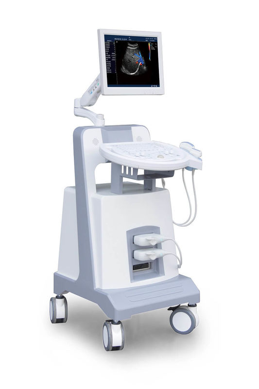 Instrument diagnostique ultrasonique 500GB d'ultrason de Doppler de couleur de chariot à niveau d'entrée