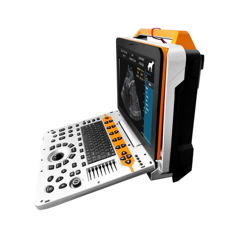 15 pouces P60V Portable Vétérinaire couleur système d'échographie Doppler pour les cliniques de petits animaux
