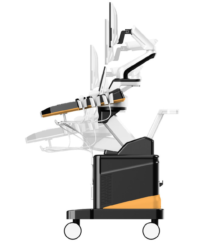 Machine à ultrasons vétérinaire Doppler couleur 3D/4D, système d'imagerie professionnel pour petits animaux avec écran LCD 21.5 pouces